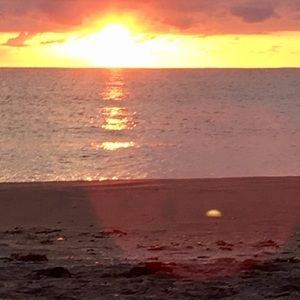 Meet your Posher, Lynn